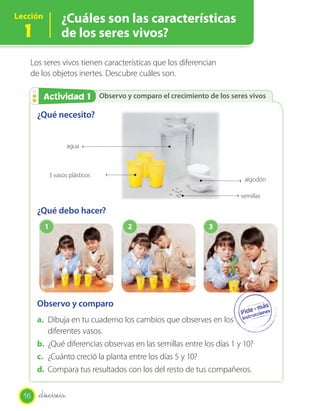 Lección
1
¿Cuáles son las características
de los seres vivos?
Observo y comparo el crecimiento de los seres vivosObservo y comparo el crecimiento de los seres vivosActividad 2Actividad 1
¿Qué necesito?
¿Qué debo hacer?
Observo y comparo
a. Dibuja en tu cuaderno los cambios que observes en los
diferentes vasos.
b. ¿Qué diferencias observas en las semillas entre los días 1 y 10?
c. ¿Cuánto creció la planta entre los días 5 y 10?
d. Compara tus resultados con los del resto de tus compañeros.
Los seres vivos tienen características que los diferencian
de los objetos inertes. Descubre cuáles son.
1 2 3
semillas
3 vasos plásticos
algodón
agua
16 _dieciseis
 