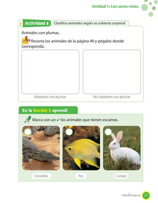 Unidad 1: Los seres vivos
Clasifico animales según su cubierta corporalClasifico animales según su cubierta corporalActividad 2Actividad 8
Animales con plumas.
Recorta los animales de la página 49 y pégalos donde
corresponda.
Voladores con plumas No voladores con plumas
En la lección 5 aprendí
Marca con un ✔ los animales que tienen escamas.
Cocodrilo Pez Conejo
29veintinueve
 