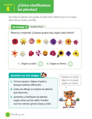 Lección
8
¿Cómo clasiﬁcamos
las plantas?
Clasifico floresActividad 2Actividad 13
No todas las plantas son iguales. Pueden tener diferencias en sus hojas,
tallos, flores, frutos y semillas.
Observa y responde: ¿Cuántos grupos hay, según cada criterio?
1. Según su color. 2. Según su forma.
Clasificar es incluir
algo en un grupo
según un criterio.
Aprendo con mis amigos
1. Formen grupos. Salgan al patio y
busquen plantas diferentes.
2. Cada uno dibuje en tarjetas las plantas
que observen.
3. Júntenlas y clasifiquen las plantas
según cómo son los tallos. Pueden
usar los criterios: grosor, largo y color.
36 _treinta y _seis
 