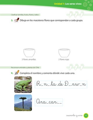 Unidad 1: Los seres vivos
Clasificar semillas, frutos, flores y tallos
3. Dibuja en los maceteros flores que correspondan a cada grupo.
Reconocer animales y plantas de Chile
4. Completa el nombre y comenta dónde vive cada uno.
R n _ta _de D _rw n
Ara car
3 flores amarillas 2 flores rojas
Unidad 1: Los seres vivos
41_cuarenta y _uno
 