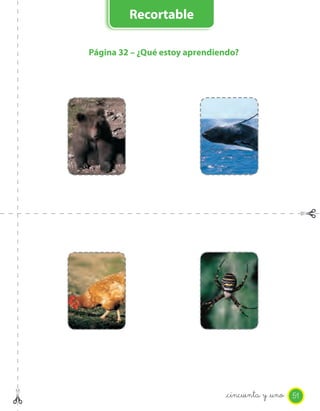 Página 32 – ¿Qué estoy aprendiendo?
_cincuenta y _uno
Recortable
51
 