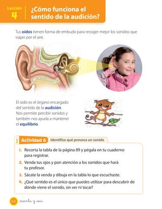OA 6
Identifico qué provoca un sonidoActividad 2Actividad 6
Tus oídos tienen forma de embudo para recoger mejor los sonidos que
viajan por el aire.
El oído es el órgano encargado
del sentido de la audición.
Nos permite percibir sonidos y
también nos ayuda a mantener
el equilibrio.
1. Recorta la tabla de la página 89 y pégala en tu cuaderno
para registrar.
2. Venda tus ojos y pon atención a los sonidos que hará
tu profesor.
3. Sácate la venda y dibuja en la tabla lo que escuchaste.
4. ¿Qué sentido es el único que puedes utilizar para descubrir de
dónde viene el sonido, sin ver ni tocar?
Lección
4
¿Cómo funciona el
sentido de la audición?
66 _sesenta y _seis
 