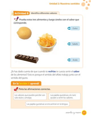 Unidad 2: Nuestros sentidos
Identifico diferentes saboresActividad 2Actividad 8
Prueba estos tres alimentos y luego únelos con el sabor que
corresponde.
¿Te has dado cuenta de que cuando te resfrías te cuesta sentir el sabor
de los alimentos? Esto es porque el sentido del olfato trabaja junto con el
sentido del gusto.
Dulce
Salado
Ácido
En la lección 5 aprendí
Pinta las afirmaciones correctas.
Los sabores que puedes percibir son
solo dulce y amargo.
Las papilas gustativas y la nariz
ayudan a sentir los sabores.
Las papilas gustativas se encuentran en la lengua.
69sesenta y _nueve
 