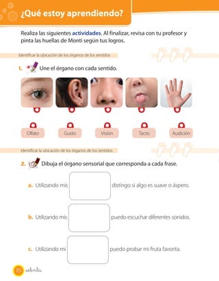 ¿Qué estoy aprendiendo? OA 6
Realiza las siguientes actividades. Al finalizar, revisa con tu profesor y
pinta las huellas de Monti según tus logros.
Identificar la ubicación de los órganos de los sentidos
1. Une el órgano con cada sentido.
Identificar la ubicación de los órganos de los sentidos
2. Dibuja el órgano sensorial que corresponda a cada frase.
a. Utilizando mis distingo si algo es suave o áspero.
b. Utilizando mis puedo escuchar diferentes sonidos.
c. Utilizando mi puedo probar mi fruta favorita.
Olfato Gusto Visión Tacto Audición
70 setenta
 