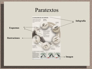 Paratextos Imagen Infografía Ilustraciones Esquemas 