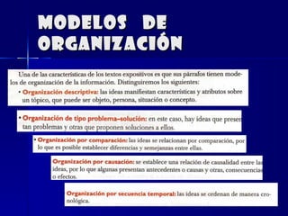 MODELOS  DE ORGANIZACIÓN 