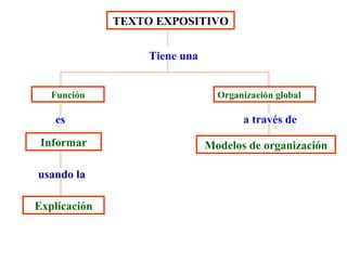 TEXTO EXPOSITIVO Tiene una Organización global Función es a través de Informar Modelos de organización usando   la Explicación 
