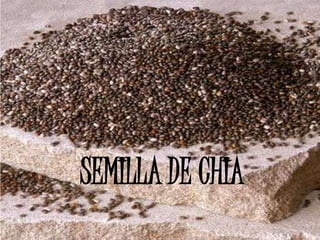 SEMILLA DE CHIA
 