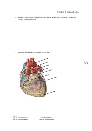 Texto Guía de Trabajos Prácticos


     4. Respecto a la constitución anatómica del corazón (endocardio, miocardio y peric...