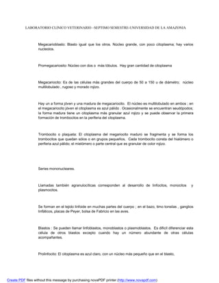 LABORATORIO CLINICO VETERINARIO –SEPTIMO SEMESTRE-UNIVERSIDAD DE LA AMAZONIA 
Megacarioblasto: Blasto igual que los otros. Núcleo grande, con poco citoplasma; hay varios 
nucleolos. 
Promegacariosito: Núcleo con dos o más lóbulos. Hay gran cantidad de citoplasma 
Megacariocito: Es de las células más grandes del cuerpo de 50 a 150 u de diámetro; núcleo 
multilobulado , rugoso y morado rojizo. 
Hay un a forma jóven y una madura de megacariocito. El núcleo es multilobulado en ambos ; en 
el megacariocito jóven el citoplasma es azul pálido . Ocasionalmente se encuentran seudópodos; 
la forma madura tiene un citoplasma más granular azul rojizo y se puede observar la primera 
formación de trombocitos en la periferia del citoplasma. 
Trombocito o plaqueta: El citoplasma del megariocito maduro se fragmenta y se forma los 
trombocitos que quedan sólos o en grupos pequeños. Cada trombocito consta del hialómero o 
periferia azul pálido; el mielómero o parte central que es granular de color rojizo. 
Series mononucleares. 
Llamadas también agranulocíticas corresponden al desarrollo de linfocitos, monocitos y 
plasmocitos. 
Se forman en el tejido linfoide en muchas partes del cuerpo ; en el bazo, timo tonsilas , ganglios 
linfáticos, placas de Peyer, bolsa de Fabricio en las aves. 
Blastos : Se pueden llamar linfoblastos, monoblastos o plasmoblastos. Es dificíl diferenciar esta 
célula de otros blastos excepto cuando hay un número abundante de otras células 
acompañantes. 
Prolinfocito: El citoplasma es azul claro, con un núcleo más pequeño que en el blasto, 
Create PDF files without this message by purchasing novaPDF printer (http://www.novapdf.com) 
 