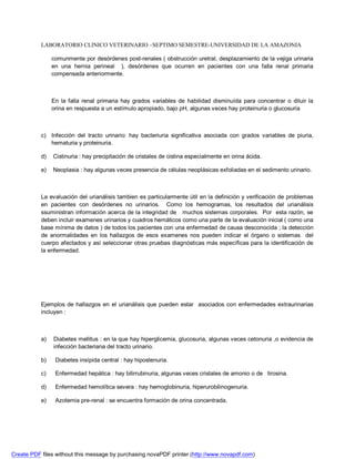 LABORATORIO CLINICO VETERINARIO –SEPTIMO SEMESTRE-UNIVERSIDAD DE LA AMAZONIA 
comunmente por desórdenes post-renales ( obstrucción uretral, desplazamiento de la vejiga urinaria 
en una hernia perineal ), desórdenes que ocurren en pacientes con una falla renal primaria 
compensada anteriormente. 
En la falla renal primaria hay grados variables de habilidad disminuída para concentrar o diluir la 
orina en respuesta a un estímulo apropiado, bajo pH, algunas veces hay proteinuria o glucosuria 
c) Infección del tracto urinario: hay bacteriuria significativa asociada con grados variables de piuria, 
hematuria y proteinuria. 
d) Cistinuria : hay precipitación de cristales de cistina especialmente en orina ácida. 
e) Neoplasia : hay algunas veces presencia de células neoplásicas exfoliadas en el sedimento urinario. 
La evaluación del urianálisis tambien es particularmente útil en la definición y verificación de problemas 
en pacientes con desórdenes no urinarios. Como los hemogramas, los resultados del urianálisis 
ssuministran información acerca de la integridad de muchos sistemas corporales. Por esta razón, se 
deben incluir examenes urinarios y cuadros hemáticos como una parte de la evaluación inicial ( como una 
base mínima de datos ) de todos los pacientes con una enfermedad de causa desconocida ; la detección 
de anormalidades en los hallazgos de esos examenes nos pueden indicar el órgano o sistemas del 
cuerpo afectados y así seleccionar otras pruebas diagnósticas más específicas para la identificación de 
la enfermedad. 
Ejemplos de hallazgos en el urianálisis que pueden estar asociados con enfermedades extraurinarias 
incluyen : 
a) Diabetes mellitus : en la que hay hiperglicemia, glucosuria, algunas veces cetonuria ,o evidencia de 
infección bacteriana del tracto urinario. 
b) Diabetes insípida central : hay hipostenuria. 
c) Enfermedad hepática : hay bilirrubinuria, algunas veces cristales de amonio o de tirosina. 
d) Enfermedad hemolítica severa : hay hemoglobinuria, hiperurobilinogenuria. 
e) Azotemia pre-renal : se encuentra formación de orina concentrada. 
Create PDF files without this message by purchasing novaPDF printer (http://www.novapdf.com) 
 