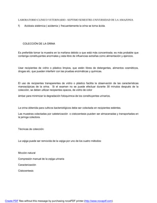 LABORATORIO CLINICO VETERINARIO –SEPTIMO SEMESTRE-UNIVERSIDAD DE LA AMAZONIA 
f) Acidosis sistémica ( acidemia ): frecuentemente la orina se torna ácida. 
COLECCIÓN DE LA ORINA 
Es preferible tomar la muestra en la mañana debido a que está más concentrada; es más probable que 
contenga constituyentes anormales y esta libre de influencias extrañas como alimentación y ejercicio. 
Usar recipientes de vidrio o plástico limpios, que estén libres de detergentes, alimentos cosméticos, 
drogas etc. que pueden interferir con las pruebas enzimáticas y químicas. 
El uso de recipientes transparentes de vidrio o plástico facilita la observación de las características 
manoscópicas de la orina. Si el examen no se puede efectuar durante 30 minutos después de la 
colección, se deben utilizar recipientes opacos, de vidrio de color 
ámbar para minimizar la degradación fotoquímica de los constituyentes urinarios. 
La orina obtenida para cultivos bacteriológicos debe ser colectada en recipientes esténtes. 
Las muestras colectadas por cateterización o cistocentesis pueden ser almacenadas y transportadas en 
la jeringa colectora. 
Técnicas de colección: 
La vejiga puede ser removida de la vejiga por uno de los cuatro métodos: 
Micción natural 
Compresión manual de la vejiga urinaria 
Caracterización 
Cistocentesis 
Create PDF files without this message by purchasing novaPDF printer (http://www.novapdf.com) 
 