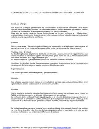 LABORATORIO CLINICO VETERINARIO –SEPTIMO SEMESTRE-UNIVERSIDAD DE LA AMAZONIA 
Levaduras y hongos 
Las levaduras y hongos generalmente son contaminantes. Pueden ocurrir infecciones con Candida 
albicans, especialmente en pacientes con infecciones del tracto urinario resistentes que han sido tratados 
sin éxito con una variedad de agentes antimicrobianos por tiempo prolongado. 
Rara vez se pueden observar formas levaduriformes de hongos profundos ej : blastomicosis, 
criptococosis en el sedimento de pacientes con enfermedades micóticas polisistémicas que involucran el 
sistema urinario, especialmente los riñones. 
Parásitos 
Dioctophyma renale . Se pueden observar huevos de este parásito en el sedimento, especialmente en 
perros infectados, si hay presentes hembras grávidas en las vías excretoras del sistema urinario. 
Capillaria plica y C. feliscati. 
La Capillaria plica está ampliamente distribuída en el mundo ; se encuentra en la vejiga urinaria y con 
menor frecuencia en los ureteres y pelvis renal en perros, gatos, zorros etc. La C. feliscati se encuentra 
con menos frecuencia en la vejiga urinaria del gato. 
La mayoría de perros y gatos presentan polaquiuria, polidipsia, incontinencia urinaria. 
Microfilaria de Dirofilaria immitis. Se puede observar rara vez en el sedimento de perros infectados como 
consecuencia de hemorragias en las vías excretoras del sistema urinario. 
Espermatozoides 
Son un hallazgo normal en orina de perros y gatos no castrados. 
Lipiduria 
Las gotas de grasa se pueden originar como resultado de cambios degenerativos citoplasmáticos en el 
epitelio tubular, o como contaminación de la orina con lubricantes. 
Cristales. 
Con la llegada de protocolos médicos efectivos para disolver y prevenir los urolitos en perros y gatos ha 
habido un interés renovado en la detección e interpretación de la cristaluria. 
La evaluación de los cristales en la orina puede ayudar en la detección de desórdenes que predisponen a 
los animales en la formación de urolitos, estimación de la composición mineral de los urolitos, y en la 
evaluación de la efectividad de los ´protocolos médicos iniciados para disolver o impedir la urolitiasis. 
La cristaluria puede presentar un factor de riesgo para la urolitiasis, sin embargo la detección de cristales 
no es sinónimo de urolitos y los síntomas clínicos asociados con ellos ; ni los cristales en la orina son una 
evidencia irrefutable de una tendencia en la formación de cálculos. 
Create PDF files without this message by purchasing novaPDF printer (http://www.novapdf.com) 
 