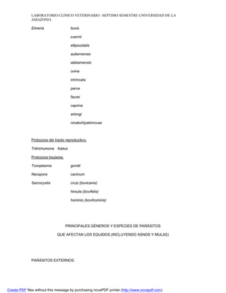 LABORATORIO CLINICO VETERINARIO –SEPTIMO SEMESTRE-UNIVERSIDAD DE LA 
AMAZONIA 
Eimeria bovis 
zuernii 
ellipsoidalis 
aubernensis 
alabamensis 
ovina 
intrincata 
parva 
faurei 
caprina 
arlongi 
ninakohlyakimovae 
Protozoos del tracto reproductivo. 
Tritrichomona foetus 
Protozoos tisulares. 
Toxoplasma gondii 
Neospora caninum 
Sarcocystis cruzi (bovicanis) 
hirsuta (bovifelis) 
hominis (bovihominis) 
PRINCIPALES GÉNEROS Y ESPECIES DE PARÁSITOS 
QUE AFECTAN LOS EQUIDOS (INCLUYENDO ASNOS Y MULAS) 
PARÁSITOS EXTERNOS. 
Create PDF files without this message by purchasing novaPDF printer (http://www.novapdf.com) 
 