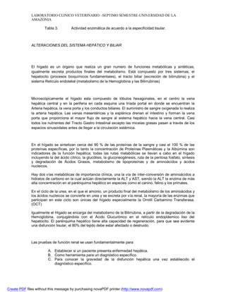 LABORATORIO CLINICO VETERINARIO –SEPTIMO SEMESTRE-UNIVERSIDAD DE LA 
AMAZONIA 
Tabla 3. Actividad enzimática de acuerdo a la especificidad tisular. 
ALTERACIONES DEL SISTEMA HEPÁTICO Y BILIAR 
El hígado es un órgano que realiza un gran numero de funciones metabólicas y sintéticas, 
igualmente excreta productos finales del metabolismo. Está compuesto por tres sistemas, el 
hepatocito (procesos bioquímicos fundamentales), el tracto biliar (excreción de bilirrubina) y el 
sistema Retículo endotelial (metabolismo de la Hemoglobina y las Bilirrubinas) 
Microscópicamente el hígado esta compuesto de lóbulos hexagonales, en el centro la vena 
hepática central y en la periferia en cada esquina una tríada portal en donde se encuentran la 
Arteria hepática, la vena porta y los conductos biliares. El suministro de sangre oxigenada lo realiza 
la arteria hepática. Las venas mesentéricas y la esplénica drenan el intestino y forman la vena 
porta que proporciona el mayor flujo de sangre al sistema hepático hacia la vena central. Casi 
todos los nutrientes del Tracto Gastro Intestinal excepto las micelas grasas pasan a través de los 
espacios sinusoidales antes de llegar a la circulación sistémica. 
En el hígado se sintetizan cerca del 90 % de las proteínas de la sangre y casi el 100 % de las 
proteínas específicas, por lo tanto la concentración de Proteínas Plasmáticas y la Albúmina son 
indicadores de la función hepática; todas las rutas metabólicas se llevan a cabo en el hígado 
incluyendo la del ácido cítrico, la glucólisis, la gluconeogénesis, ruta de la pentosa fosfato, síntesis 
y degradación de Ácidos Grasos, metabolismo de lipoproteínas y de aminoácidos y ácidos 
nucleicos. 
Hay dos vías metabólicas de importancia clínica, una la vía de ínter-conversión de aminoácidos a 
hidratos de carbono en la cual actúan directamente la ALT y AST, siendo la ALT la enzima de más 
alta concentración en el parénquima hepático en especies como el canino, felino y los primates. 
En el ciclo de la urea, en el que el amonio, un producto final del metabolismo de los aminoácidos y 
los ácidos nucleicos se convierte en urea y se excreta por vía renal, la mayoría de las enzimas que 
participan en este ciclo son únicas del hígado especialmente la Ornitil Carbamino Transferasa. 
(OCT) 
Igualmente el Hígado se encarga del metabolismo de la Bilirrubina, a partir de la degradación de la 
Hemoglobina, conjugándola con el Ácido Glucurónico en el retículo endoplásmico liso del 
hepatocito. El parénquima hepático tiene alta capacidad de regeneración, para que sea evidente 
una disfunción tisular, el 80% del tejido debe estar afectado o destruido. 
Las pruebas de función renal se usan fundamentalmente para: 
A. Establecer si un paciente presenta enfermedad hepática. 
B. Como herramienta para un diagnóstico específico. 
C. Para conocer la gravedad de la disfunción hepática una vez establecido el 
diagnóstico específico. 
Create PDF files without this message by purchasing novaPDF printer (http://www.novapdf.com) 
 