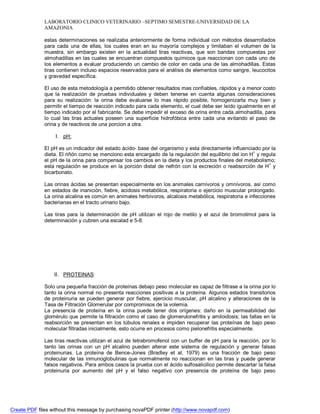 LABORATORIO CLINICO VETERINARIO –SEPTIMO SEMESTRE-UNIVERSIDAD DE LA 
AMAZONIA 
estas determinaciones se realizaba anteriormente de forma individual con métodos desarrollados 
para cada una de ellas, los cuales eran en su mayoría complejos y limitaban el volumen de la 
muestra, sin embargo existen en la actualidad tiras reactivas, que son bandas compuestas por 
almohadillas en las cuales se encuentran compuestos químicos que reaccionan con cada uno de 
los elementos a evaluar produciendo un cambio de color en cada una de las almohadillas. Estas 
tiras contienen incluso espacios reservados para el análisis de elementos como sangre, leucocitos 
y gravedad específica. 
El uso de esta metodología a permitido obtener resultados mas confiables, rápidos y a menor costo 
que la realización de pruebas individuales y deben tenerse en cuenta algunas consideraciones 
para su realización: la orina debe evaluarse lo mas rápido posible, homogenizarla muy bien y 
permitir el tiempo de reacción indicado para cada elemento, el cual debe ser leído igualmente en el 
tiempo indicado por el fabricante. Se debe impedir el exceso de orina entre cada almohadilla, para 
lo cual las tiras actuales poseen una superficie hidrofóbica entre cada una evitando el paso de 
orina y de reactivos de una porcion a otra. 
I. pH: 
El pH es un indicador del estado ácido- base del organismo y esta directamente influenciado por la 
dieta. El riñón como se menciono esta encargado de la regulación del equilibrio del ion H+ y regula 
el pH de la orina para compensar los cambios en la dieta y los productos finales del metabolismo; 
esta regulación se produce en la porción distal de nefrón con la excreción o reabsorción de H+ y 
bicarbonato. 
Las orinas ácidas se presentan especialmente en los animales carnívoros y omnívoros, así como 
en estados de inanición, fiebre, acidosis metabólica, respiratoria o ejercicio muscular prolongado. 
La orina alcalina es común en animales herbívoros, alcalosis metabólica, respiratoria e infecciones 
bacterianas en el tracto urinario bajo. 
Las tiras para la determinación de pH utilizan el rojo de metilo y el azul de bromotimol para la 
determinación y cubren una escalad e 5-8. 
II. PROTEINAS: 
Solo una pequeña fracción de proteínas debajo peso molecular es capaz de filtrase a la orina por lo 
tanto la orina normal no presenta reacciones positivas a la proteína. Algunos estados transitorios 
de proteinuria se pueden generar por fiebre, ejercicio muscular, pH alcalino y alteraciones de la 
Tasa de Filtración Glomerular por compromisos de la volemia. 
La presencia de proteína en la orina puede tener dos orígenes: daño en la permeabilidad del 
glomérulo que permite la filtración como el caso de glomerulonefritis y amiloidosis; las fallas en la 
reabsorción se presentan en los túbulos renales e impiden recuperar las proteínas de bajo peso 
molecular filtradas inicialmente, esto ocurre en procesos como pielonefritis especialmente. 
Las tiras reactivas utilizan el azul de tetrabromofenol con un buffer de pH para la reacción, por lo 
tanto las orinas con un pH alcalino pueden alterar este sistema de regulación y generar falsas 
proteinurias. La proteína de Bence-Jones (Bradley et al, 1979) es una fracción de bajo peso 
molecular de las inmunoglobulinas que normalmente no reaccionan en las tiras y puede generar 
falsos negativos. Para ambos casos la prueba con el ácido sulfosalicilico permite descartar la falsa 
proteinuria por aumento del pH y el falso negativo con presencia de proteína de bajo peso 
Create PDF files without this message by purchasing novaPDF printer (http://www.novapdf.com) 
 