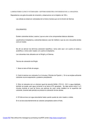 LABORATORIO CLINICO VETERINARIO –SEPTIMO SEMESTRE-UNIVERSIDAD DE LA AMAZONIA 
Depositamos una gota de aceite de inmersión y observamos con el objetivo de 100 x. 
Las células se observan coloreadas de la misma manera que con la tinción de Giemsa 
COLORANTES 
Existen colorantes ácidos ( eosina ) que se unen a los componentes básicos célulares 
usualmente al citoplasma y colorantes básicos ( azul de metileno ) que se une a las partes ácidas 
como el núcleo. 
De ahí se derivan los términos coloración basofílica ( toma color azul ) en cuanto al núcleo y 
acidofílica ) ( toma color rosado ) en cuanto al citoplasma. 
Los colorantes más utilizados son el Wright y el Giemsa. 
Técnica de coloración de Wright. 
1. Secar al aire el frotis de sangre . 
2. Cubrir la lamina con colorante 2 a 4 minutos ( Período de Fijación ). Si no se emplea suficiente 
colorante ocurre evaporación y posterior precipitación. 
3. Diluir el colorante con un vólumen igual de solución Buffer ( Ph 6.4 - 6.8 ) o agua destilada , 
también se puede usar agua corriente si se tiene el Ph apropiado. Se deja actuar entre 2 a 5 
minutos durante el cual se forma una película de color verde metálico en la superficie del 
colorante, durante este periodo se produce la coloración de las células. 
4. El frotis se lava con agua abundante hasta cuando quede de color rosado o violeta. 
Si no se lava abundantemente se colectan precipitados sobre el frotis. 
Create PDF files without this message by purchasing novaPDF printer (http://www.novapdf.com) 
 
