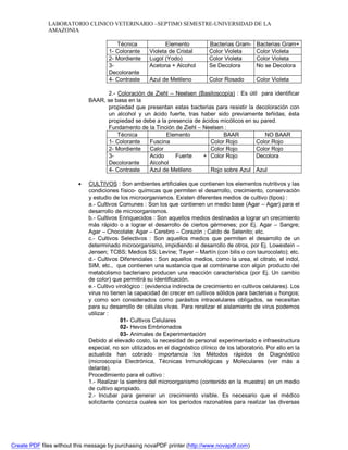 LABORATORIO CLINICO VETERINARIO –SEPTIMO SEMESTRE-UNIVERSIDAD DE LA 
AMAZONIA 
Técnica Elemento Bacterias Gram- Bacterias Gram+ 
1- Colorante Violeta de Cristal Color Violeta Color Violeta 
2- Mordiente Lugol (Yodo) Color Violeta Color Violeta 
3- 
Decolorante 
Acetona + Alcohol Se Decolora No se Decolora 
4- Contraste Azul de Metileno Color Rosado Color Violeta 
2.- Coloración de Ziehl – Neelsen (Basiloscopía) : Es útil para identificar 
BAAR, se basa en la 
propiedad que presentan estas bacterias para resistir la decoloración con 
un alcohol y un ácido fuerte, tras haber sido previamente teñidas; ésta 
propiedad se debe a la presencia de ácidos micólicos en su pared. 
Fundamento de la Tinción de Ziehl – Neelsen : 
Técnica Elemento BAAR NO BAAR 
1- Colorante Fuscina Color Rojo Color Rojo 
2- Mordiente Calor Color Rojo Color Rojo 
3- 
Acido Fuerte + 
Color Rojo Decolora 
Decolorante 
Alcohol 
4- Contraste Azul de Metileno Rojo sobre Azul Azul 
 CULTIVOS : Son ambientes artificiales que contienen los elementos nutritivos y las 
condiciones físico- químicas que permiten el desarrollo, crecimiento, conservación 
y estudio de los microorganismos. Existen diferentes medios de cultivo (tipos) : 
a.- Cultivos Comunes : Son los que contienen un medio base (Agar – Agar) para el 
desarrollo de microorganismos. 
b.- Cultivos Enriquecidos : Son aquellos medios destinados a lograr un crecimiento 
más rápido o a lograr el desarrollo de ciertos gérmenes; por Ej. Agar – Sangre; 
Agar – Chocolate; Agar – Cerebro – Corazón ; Caldo de Selenito; etc. 
c.- Cultivos Selectivos : Son aquellos medios que permiten el desarrollo de un 
determinado microorganismo, impidiendo el desarrollo de otros, por Ej. Lowestein – 
Jensen; TCBS; Medios SS; Levine; Tayer – Martín (con bilis o con taurocolato); etc. 
d.- Cultivos Diferenciales : Son aquellos medios, como la urea, el citrato, el indol, 
SIM, etc., que contienen una sustancia que al combinarse con algún producto del 
metabolismo bacteriano producen una reacción característica (por Ej. Un cambio 
de color) que permitirá su identificación. 
e.- Cultivo virológico : (evidencia indirecta de crecimiento en cultivos celulares). Los 
virus no tienen la capacidad de crecer en cultivos sólidos para bacterias u hongos; 
y como son considerados como parásitos intracelulares obligados, se necesitan 
para su desarrollo de células vivas. Para reralizar el aislamiento de virus podemos 
utilizar : 
01- Cultivos Celulares 
02- Hevos Embrionados 
03- Animales de Experimentación 
Debido al elevado costo, la necesidad de personal experimentado e infraestructura 
especial, no son utilizados en el diagnóstico clínico de los laboratorio. Por ello en la 
actualida han cobrado importancia los Métodos rápidos de Diagnóstico 
(microscopía Electrónica, Técnicas Inmunológicas y Moleculares (ver más a 
delante). 
Procedimiento para el cultivo : 
1.- Realizar la siembra del microorganismo (contenido en la muestra) en un medio 
de cultivo apropiado. 
2.- Incubar para generar un crecimiento visible. Es necesario que el médico 
solicitante conozca cuales son los períodos razonables para realizar las diversas 
Create PDF files without this message by purchasing novaPDF printer (http://www.novapdf.com) 
 