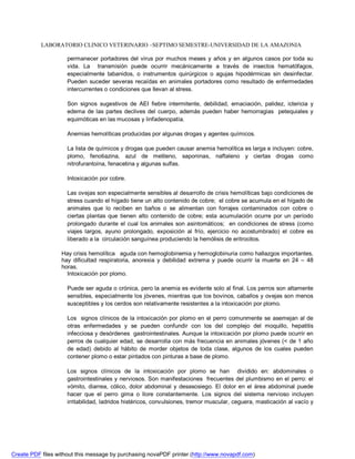 LABORATORIO CLINICO VETERINARIO –SEPTIMO SEMESTRE-UNIVERSIDAD DE LA AMAZONIA 
permanecer portadores del virus por muchos meses y años y en algunos casos por toda su 
vida. La transmisión puede ocurrir mecánicamente a través de insectos hematófagos, 
especialmente tabanidos, o instrumentos quirúrgicos o agujas hipodérmicas sin desinfectar. 
Pueden suceder severas recaídas en animales portadores como resultado de enfermedades 
intercurrentes o condiciones que llevan al stress. 
Son signos sugestivos de AEI fiebre intermitente, debilidad, emaciación, palidez, ictericia y 
edema de las partes declives del cuerpo, además pueden haber hemorragias petequiales y 
equimóticas en las mucosas y linfadenopatía. 
Anemias hemolíticas producidas por algunas drogas y agentes químicos. 
La lista de químicos y drogas que pueden causar anemia hemolítica es larga e incluyen: cobre, 
plomo, fenotiazina, azul de metileno, saponinas, naftaleno y ciertas drogas como 
nitrofurantoína, fenacetina y algunas sulfas. 
Intoxicación por cobre. 
Las ovejas son especialmente sensibles al desarrollo de crisis hemolíticas bajo condiciones de 
stress cuando el hígado tiene un alto contenido de cobre; el cobre se acumula en el hígado de 
animales que lo reciben en baños o se alimentan con forrajes contaminados con cobre o 
ciertas plantas que tienen alto contenido de cobre; esta acumulación ocurre por un período 
prolongado durante el cual los animales son asintomáticos; en condiciones de stress (como 
viajes largos, ayuno prolongado, exposición al frío, ejercicio no acostumbrado) el cobre es 
liberado a la circulación sanguínea produciendo la hemólisis de eritrocitos. 
Hay crisis hemolítica aguda con hemoglobinemia y hemoglobinuria como hallazgos importantes, 
hay dificultad respiratoria, anorexia y debilidad extrema y puede ocurrir la muerte en 24 – 48 
horas. 
Intoxicación por plomo. 
Puede ser aguda o crónica, pero la anemia es evidente solo al final. Los perros son altamente 
sensibles, especialmente los jóvenes, mientras que los bovinos, caballos y ovejas son menos 
susceptibles y los cerdos son relativamente resistentes a la intoxicación por plomo. 
Los signos clínicos de la intoxicación por plomo en el perro comunmente se asemejan al de 
otras enfermedades y se pueden confundir con los del complejo del moquillo, hepatitis 
infecciosa y desórdenes gastrointestinales. Aunque la intoxicación por plomo puede ocurrir en 
perros de cualquier edad, se desarrolla con más frecuencia en animales jóvenes ( de 1 año 
de edad) debido al hábito de morder objetos de toda clase, algunos de los cuales pueden 
contener plomo o estar pintados con pinturas a base de plomo. 
Los signos clínicos de la intoxicación por plomo se han dividido en: abdominales o 
gastrointestinales y nerviosos. Son manifestaciones frecuentes del plumbismo en el perro: el 
vómito, diarrea, cólico, dolor abdominal y desasosiego. El dolor en el área abdominal puede 
hacer que el perro gima o llore constantemente. Los signos del sistema nervioso incluyen 
irritabilidad, ladridos histéricos, convulsiones, tremor muscular, ceguera, masticación al vacío y 
Create PDF files without this message by purchasing novaPDF printer (http://www.novapdf.com) 
 