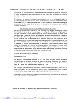 LABORATORIO CLINICO VETERINARIO –SEPTIMO SEMESTRE-UNIVERSIDAD DE LA AMAZONIA 
involucradas las aglutininas frías; la anemia hemolítica puede tener una aparición hiperaguda 
o aguda, o más comúnmente puede ser crónica con una o más recaídas en el curso de 
semanas o meses. 
El mecanismo de destrucción de los eritrocitos principalmente es por eritrofagocitosis por los 
macrófagos particularmente del bazo, como resultado del recubrimiento de los eritrocitos por 
anticuerpos (Ig G) y/o fijación del componente C3 del complemento; la eritrofagocitosis parcial 
se cree que es el resultado de la formación de esferocitos los cuales muestran fragilidad 
osmótica aumentada. 
Isoeritrolisis neonatal o enfermedad hemolítica del recién nacido 
Ha sido reportada en potros y lechones. Los neonatos son normales al nacimiento, pero la 
hemólisis comienza en pocas horas después de la ingestión del calostro. Al principio las 
mucosas son pálidas, y luego se tornan ictéricas; hacia el segundo o tercer día puede haber 
hemoglobinuria; si el animal no muere la respuesta de la medula ósea es típica de una anemia 
hemolítica. El problema surge cuando la hembra es cubierta más de una vez por el mismo 
macho, de modo que los antígenos de los eritrocitos del macho son transmitidos a los 
eritrocitos del feto. La hembra desarrolla anticuerpos contra los eritrocitos fetales cuando ésta 
llega a ser sensibilizada por estos eritrocitos como resultado de una transferencia a través de 
la placenta.. El calostro entonces contiene los anticuerpos contra los eritrocitos del recién 
nacido. La vacunación de hembras con vacunas tisulares que contienen eritrocitos puede 
sensibilizar a la madre contra antígenos de los eritrocitos que pueden aparecer después en 
los eritrocitos del recién nacido, el cual al ingerir calostro que contiene anticuerpos contra los 
antígenos de sus eritrocitos pueden desarrollar anemia hemolítica. 
Anemias hemolíticas de origen misceláneo. 
Intoxicación por agua. 
Los bovinos, particularmente terneros de 2 – 10 meses de edad pueden desarrollar 
hemoglobinuria por excesivo consumo de agua. Los terneros levantados con leche sin 
suplementación de agua pueden beber cantidades excesivas de agua, pudiendo morir en el 
lapso de 2 horas, o se pueden recuperar después de 2 días. 
Los hallazgos hematológicos incluyen anemia hemolítica, PPT disminuidas y disminución de 
sodio, cloro séricos y la osmolalidad. Los signos clínicos son convulsiones, coma, dificultad 
respiratoria, hemoglobinuria y muerte; la gravedad específica de la orina es baja. 
Se cree que la excesiva ingestión de agua disminuye los niveles de los electrolitos sanguíneos 
e induce la destrucción de los eritrocitos. 
Anemias por depresión de la medula ósea (anemias hipoplásticas o aplásticas) 
Create PDF files without this message by purchasing novaPDF printer (http://www.novapdf.com) 
 