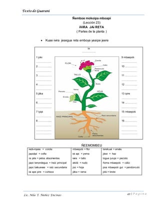 Texto de Guarani
49 | P á g i n a
Lic. Nila T. Núñez Encinas
Ñemboe mokoipa mboapi
(Lección 23)
iViRA JAi RETA
( Partes de la planta )
 Kuae ivira jesegua reta emboya yeaipe jeere
ia
…………….
1 joki 9 mbaepoti
……………… ………………
2 ………….... 10 ...……..…
……………… ………………
3 ….………… 11 ..…………
……………… ………………
4 ….………… 12 …………..
……………… ………………
5 jäka 13 ipire
……………… ………………
6 ……………. 14 ..…………
……………… ………………
7 iyipi 15 mbaepoti
……………… ………………
8 ………….... 16 ..…………
……………… ………………
……………… ………………
……………… ….……………
ÑEEMOMBEU
ivoti ropea = corola
japoäpi = cofia
ra pite = pelos absorventes
japo tenondegua = lraíz principal
japo taikuevae = raíz secundaria
ivi ape pire = corteza
mbaepoti = flor
ivi api = yema
ivira = tallo
akitä = nudo
joo = hoja
jäka = rama
terekuaï = envés
jáse = haz
togue jurupi = peciolo
ñoma mbaepoti = cáliz
poa mbaepoti gui = pendúnculo
joki = brote
 