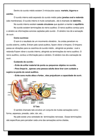 Dentro do ouvido médio existem 3 minúsculos ossos: martelo, bigorna e
estribo.
O ouvido interno está separado do ouvido médio pelas janelas oval e redonda
(são membranas). O ouvido interno é muito complicado , ele é chamado de labirinto.
No ouvido interno existem canais circulares que ajudam a manter o equilíbrio.
No ouvido existem terminações do nervo auditivo. O nervo auditivo conduz para
o cérebro as informações sonoras captadas pelo ouvido . O cérebro nos dá a sensação
de ouvir.
Como ouvimos:
O som é o resultado de um movimento vibratório . As ondas penetram no
ouvido externo, orelha. Entram pelo canal auditivo, fazem vibrar o tímpano. O tímpano
passa as vibrações para os ossinhos do ouvido médio , atingindo as janelas : oval e
redonda.Fazem vibrar o ouvido interno, atingindo as terminações do nervo auditivo. O
nervo auditivo, conduz a informação para o cérebro. O cérebro nos dá a sensação de
ouvir.
Cuidando do ouvido :
- Evite de enfiar material de ponta ou pequenos objetos no ouvido.
- Para limpa-lo , apenas uma pessoa adulta deve tirar com cuidado a
sujeira na ponta do canal auditivo.
- Evite sons muito altos e fortes , eles prejudicam a capacidade de ouvir.

O Tato
O sentido chamado tato envolve um conjunto de muitas sensações como :
forma, aspereza, pressão, calor, dor, etc...
Na pele existe uma variedade de terminações nervosas . Essas terminações
são específicas para perceber cada uma das sensações acima citadas.

 