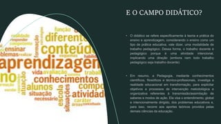 E O CAMPO DIDÁTICO?
 