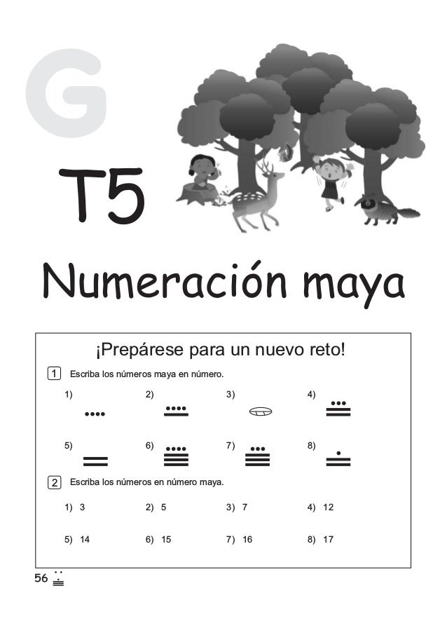 Texto Matematicas 3er Grado