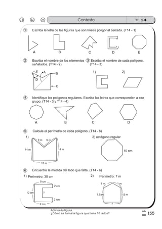 T 14Contesto
155
7
%
Escriba la letra de las figuras que son líneas poligonal cerrada. (T14 - 1)
Escriba el nombre de los elementos
señalados. (T14 - 2)
Escriba el nombre de cada polígono.
(T14 - 3)
Identifique los polígonos regulares. Escriba las letras que corresponden a ese
grupo. (T14 - 3 y T14 - 4)
Calcule el perímetro de cada polígono. (T14 - 6)
Encuentre la medida del lado que falta. (T14 - 6)
BA C
1 m 1 m
1.5 m 1.5 m
?
10 cm
D E
A B C D
14 m 14 m
12 m
9 m 9 m
10 cm
9 cm
9 cm
?
2 cm
2 cm
Perímetro: 38 cm Perímetro: 7 m
A B
C
D
E
1)
1)
2) octágono regular
2)
1) 2)
1
2
4
5
6
Adivine la figura.
¿Cómo se llama la figura que tiene 10 lados?
3
 