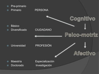  Pre-primario
 Primario PERSONA
 Básico
 Diversificado CIUDADANO
 Universidad PROFESIÓN
 Maestría Especialización
 Doctorado Investigación
 