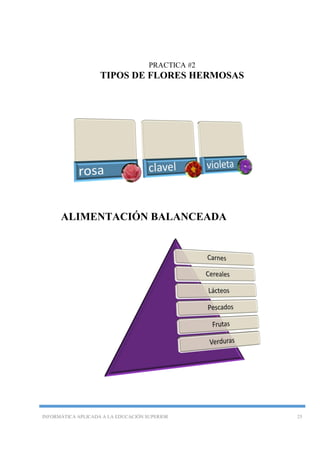 INFORMÁTICA APLICADA A LA EDUCACIÓN SUPERIOR 25
PRACTICA #2
TIPOS DE FLORES HERMOSAS
ALIMENTACIÓN BALANCEADA
 