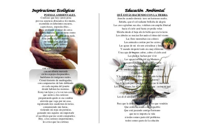 Texto poesia ambiental