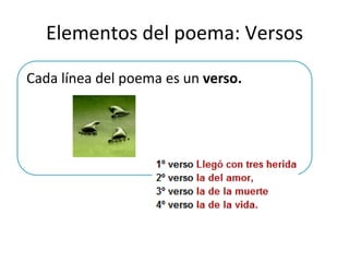 Elementos del poema: VersosCada línea del poema es un verso.
