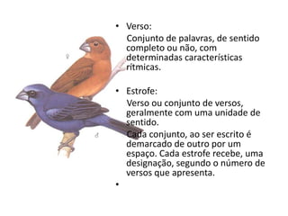 • Verso:
  Conjunto de palavras, de sentido
  completo ou não, com
  determinadas características
  rítmicas.

• Estrofe:
  Verso ou conjunto de versos,
  geralmente com uma unidade de
  sentido.
  Cada conjunto, ao ser escrito é
  demarcado de outro por um
  espaço. Cada estrofe recebe, uma
  designação, segundo o número de
  versos que apresenta.
•
 