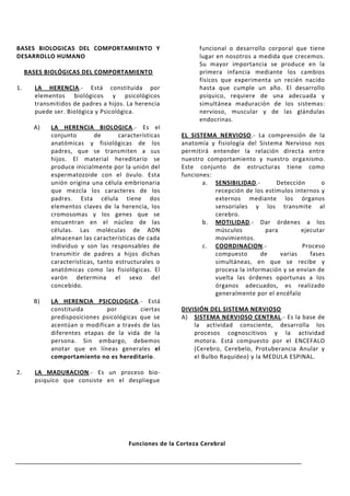 BASES BIOLOGICAS DEL COMPORTAMIENTO Y                         funcional o desarrollo corporal que tiene
DESARROLLO HUMANO                                             lugar en nosotros a medida que crecemos.
                                                              Su mayor importancia se produce en la
     BASES BIOLÓGICAS DEL COMPORTAMIENTO                      primera infancia mediante los cambios
                                                              físicos que experimenta un recién nacido
1.     LA HERENCIA.- Está constituida por                     hasta que cumple un año. El desarrollo
       elementos biológicos y psicológicos                    psíquico, requiere de una adecuada y
       transmitidos de padres a hijos. La herencia            simultánea maduración de los sistemas:
       puede ser. Biológica y Psicológica.                    nervioso, muscular y de las glándulas
                                                              endocrinas.
       A)   LA HERENCIA BIOLOGICA.- Es el
            conjunto        de      características     EL SISTEMA NERVIOSO.- La comprensión de la
            anatómicas y fisiológicas de los            anatomía y fisiología del Sistema Nervioso nos
            padres, que se transmiten a sus             permitirá entender la relación directa entre
            hijos. El material hereditario se           nuestro comportamiento y nuestro organismo.
            produce inicialmente por la unión del       Este conjunto de estructuras tiene como
            espermatozoide con el óvulo. Esta           funciones:
            unión origina una célula embrionaria               a. SENSIBILIDAD.-        Detección      o
            que mezcla los caracteres de los                       recepción de los estímulos internos y
            padres. Esta célula tiene dos                          externos mediante los órganos
            elementos claves de la herencia, los                   sensoriales y los transmite al
            cromosomas y los genes que se                          cerebro.
            encuentran en el núcleo de las                     b. MOTILIDAD.- Dar órdenes a los
            células. Las moléculas de ADN                          músculos         para        ejecutar
            almacenan las características de cada                  movimientos.
            individuo y son las responsables de                c. COORDINACION.-                 Proceso
            transmitir de padres a hijos dichas                    compuesto       de    varias    fases
            características, tanto estructurales o                 simultáneas, en que se recibe y
            anatómicas como las fisiológicas. El                   procesa la información y se envían de
            varón determina el sexo del                            vuelta las órdenes oportunas a los
            concebido.                                             órganos adecuados, es realizado
                                                                   generalmente por el encéfalo
       B)   LA HERENCIA PSICOLOGICA.- Está
            constituida       por         ciertas       DIVISIÓN DEL SISTEMA NERVIOSO
            predisposiciones psicológicas que se        A) SISTEMA NERVIOSO CENTRAL.- Es la base de
            acentúan o modifican a través de las            la actividad consciente, desarrolla los
            diferentes etapas de la vida de la              procesos cognoscitivos y la actividad
            persona. Sin embargo, debemos                   motora. Está compuesto por el ENCEFALO
            anotar que en líneas generales el               (Cerebro, Cerebelo, Protuberancia Anular y
            comportamiento no es hereditario.               el Bulbo Raquídeo) y la MEDULA ESPINAL.

2.     LA MADURACION.- Es un proceso bio-
       psiquíco que consiste en el despliegue




                                       Funciones de la Corteza Cerebral
 