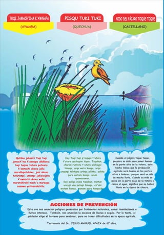 TUQI JAMACH'INA K'AWNAPA PISQU TUKI TUKI NIDO DEL PÁJARO TOQUE TOQUE
ACCIONES DE PREVENCIÓN
Qutäna jakasiri Tuqi tuqi
jamach'ina k'awnapa uñañaxa;
tuqi tuqixa tutura patxaru
k'awnachi ukaxa jallu
marañapatakiwa, jani ukaxa
tuturampi, umampi jakisiwjaru
k'awnachi ukaxa waña
maratakiraki mach'a maraspa
sasawa yatiyarakchitu.
Kay Tuqi tuqi p'isquqa t'utura
t'utura quchapim tiyan. Tapakun,
churan runtuta t'utura wichaypi
hinaqa, urqu wata kanqa, urqu
urqunpi mikhuna urinqa allinta, achka
para watam kanqa, unum
apawasuwan.
Kay sallqa uywa tapakun, runtun
uraypi unu patapi hinaqa, ch'aki
watam kanqa, manam para kanqachu.
Cuando el pájaro toque toque,
prepara su nido para poner huevos
en la parte alta de la totora, este
hecho indica que la producción
agrícola será buena en las partes
altas o laderas, porque será un año
de mucha lluvia. Cuando su nido se
ubica en la parte baja de la totora o
cerca al agua, signiﬁca que no habrá
lluvia en la época de chacra.
Esta ave nos anuncian peligros generados por fenómenos naturales, como: inundaciones o
lluvias intensas. También, nos anuncian la escasez de lluvias o sequía. Por lo tanto, el
poblador elige el terreno para sembrar, para no tener diﬁcultades en la epoca agrícola.
Testimonio del Sr. JESUS MANUEL APAZA de 67 años.
(AYMARA) (QUECHUA) (CASTELLANO)
 
