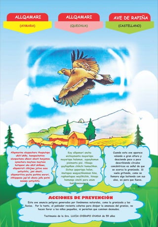 ALLQAMARI ALLQAMARI AVE DE RAPIÑA
ACCIONES DE PREVENCIÓN
Allqamarina alaypacharu thuqsutapa
uñch'ukiña, kunapachatixa
alaxpachana uñasxi ukasti kunjamsa
aynacharu muytasa muytasa
kutiqanxi uka uñch'ukiñawa,
allqamiristi chhijiwa jutixa sasa
yatiychitu, jani ukasti,
allqamaritixa pacha parkina warari,
chhiqapasa jap'ali ukaxa jallu purini
sasawa yatiychitu.
Kay allqamari ancha
wichaymanta muyurispa
muyurispa halamun, aypaykamun
pisimanta pisi. Hinaqa
qayllapiñam chikchi hamuchkan.
Sichus qaparispa halan,
imatapas waqyachkanman hina,
raphantapas waylikichin, hinaqa
hamunqa sinchi para unum
hunt'awasunwan.
Cuando esta ave aparece
volando a gran altura y
desciende poco a poco
describiendo círculos
concéntricos es señal de que
se acerca la granizada. Si
vuela gritando, como se
llamara algo batiendo con sus
alas, es para que llueva.
Testimonio de la Sra. LUCIA CHIRAPO CHANA de 59 años
Esta ave anuncia peligros generados por fenómenos naturales, como la granizada y las
lluvias. Por lo tanto, el poblador revienta cohetes para disipar la amenaza del granizo, no
hacen llorar a los niños pequeños, ni permiten que caminen desnudos.
(AYMARA) (QUECHUA) (CASTELLANO)
 