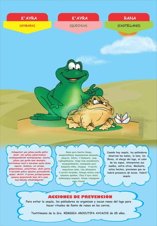K'AYRA K'AYRA RANA
ACCIONES DE PREVENCIÓN
Jallupachati jani jalluxa puriña qalltxi
ukasti, uka aylluna jakasirinakaxa
aruskipapxañataki mathapisipxiwa, kunatsa
jalluxa jani puriña muni ukatuqita,
yatirinakaxa mach'a maraniwa sasina qhana
sapxixa. Samkasa, uxi uxitapa,
panqaranakasa, yatiychituwa, ukata qutata
k'ayranaka qulluru apsusina jachayañataki
apapxi, ukatsti, k'ayrana jachaparjamawa
qarpaxa qarpxataraki kuna isk'a uywa
maq'añanaka chhuktañapataki.
Mana para kanchu hinaqa,
wawqinchikkuna imaymanatam qhawanku,
phuyuta, killata, t'ikakunata, unup
raphaqinkunata, hamp'atup wasankunata,
musquyninkunata, manapunim para
kanqachu ninku, chaypaq k'ayrata
waqachisun ninku. Unu ukhumanta
k'ayrata hurqunku, hinaspa wichay urqu
lumaman apankun. Chay k'ayra unuta
mañananpaq waqanan, hinaqa chiqaqpunis
para chayan.
Cuando hay sequía, los pobladores
observan las nubes, la luna, las
ﬂores, el oleaje del lago, el color
de los sapos, interpretan sus
sueños, entre otros. Mediante,
estos hechos, previenen que no
habrá presencia de luvias. Habrá
sequía.
Testitimonio de la Sra. REMIGIA AROCUTIPA AYCACHI de 65 años.
Para evitar la sequía, los pobladores se organizan y sacan ranas del lago para
hacer rituales de llanto de ranas en los cerros.
(AYMARA) (QUECHUA) (CASTELLANO)
 