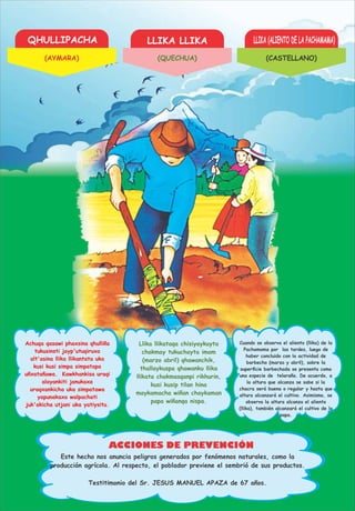 QHULLIPACHA LLIKA LLIKA LLIKA (ALIENTO DE LA PACHAMAMA)
ACCIONES DE PREVENCIÓN
Achuqa qasawi phaxsina qhulliña
tukusinsti jayp'utuqiruxa
alt'asina llika llikantata uka
kusi kusi simpa simpatapa
uñxatañawa. Kawkhankisa uraqi
alayankiti janukaxa
uraqxankicha uka simpatawa
yapunakaxa walpachati
juk'akicha utjani uka yatiysitu.
Llika llikataqa chisiyaykuyta
chakmay tukuchayta imam
(marzo abril) qhawanchik,
thallaykuspa qhawanku llika
llikata chakmasqanpi rikhurin,
kusi kusip tilan hina
maykamacha wiñan chaykaman
papa wiñanqa nispa.
Cuando se observa el aliento (llika) de la
Pachamama por las tardes, luego de
haber concluido con la actividad de
barbecho (marzo y abril), sobre la
superﬁcie barbechada se presenta como
una especie de telaraña. De acuerdo, a
la altura que alcanza se sabe si la
chacra será buena o regular y hasta que
altura alcanzará el cultivo. Asimismo, se
observa la altura alcanza el aliento
(llika), también alcanzará el cultivo de la
papa.
Testitimonio del Sr. JESUS MANUEL APAZA de 67 años.
Este hecho nos anuncia peligros generados por fenómenos naturales, como la
producción agrícola. Al respecto, el poblador previene el sembrió de sus productos.
(AYMARA) (QUECHUA) (CASTELLANO)
 