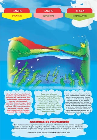 LAQHU LAQHU ALGAS
ACCIONES DE PREVENCIÓN
Marat'aqata, llump'aqa phaxsikamasti
phujunakana laqhunaka uñxatañaxa, uma
qawayanaka wali suma ch'uxñaki ukaxa
jallupachatakiwa. Laqhukiti ina maya
maya jani utjkiti ukaxa waña
maratakiwa. Kunawrasati laqhuru juyphi
katji ukaxa, juyphi maratakiraki. Suma
ch'uxñaki tukuyi ukaxa jallu marataki,
uka laqhunaka chikataypi q'ayanki
ukasti jallupachatakiraki, laqhunaka
qawayankaki ukaxa waña maratakiwa.
Chayqa mayu ukhukunapi
rumichakunapi laqukuna wiñan, ichaqa
kay laqukuna pisilla huch'uychalla
mana achkachu wiñan, hinaqa pisi
watam kanqa, Pisillam urinqa
mikhunanchik. Chay mayu laqu
rumikunaman k'askaykunqa, wiñanqa
achkha pañu pañuraq munay q'umir
hinaqa, allin watam kanqa, achkam
mikhunanchik urinqa.
Esta planta nos anuncia la presencia de lluvias y la sequía. Observen con mucha atención las algas de
algodón en los meses de junio a agosto si está en los bordes, es para año seco para eso debemos de
prever de almacenar los productos, forrajes y es importante crianza de agua para el tiempo de sequía.
Testimonio de la Sra. NATIVIDAD APAZA ROQUE de 84 años.
Cuando la superﬁcie de los ríos, riachuelos o
pozos están totalmente cubiertas por esta
planta, y parecen cubiertas con 'frazadas'
verdes, será un año lluvioso. Si el laqhu es
ralo o no hay nada, es para año seco.
Cuando a esta planta le afecta la helada, es
para año con presencia de heladas; y cuando
termina de desarrollarse bien y es de color
verde, es para un buen año. Algunas, veces
se presenta solo en la parte media del río,
signiﬁca que será un año de lluvias, pero si
está solamente en los bordes, es para un año
seco.
(AYMARA) (QUECHUA) (CASTELLANO)
 