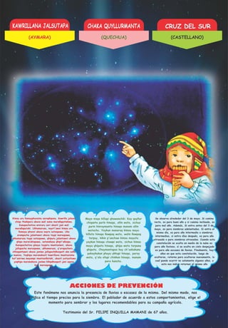 KAWRILLANA JALSUTAPA CHAKA QUYLLURMANTA CRUZ DEL SUR
ACCIONES DE PREVENCIÓN
Kimsa uru llamayphaxsina saraqkipana. Kawrilla jalsuni
chiqa thakiparu ukaxa wali suma marañapatakiwa.
Kunapachatixa wixruru sari ukasti jani wali
marañapataki. Ukhamarusa, nayrt'awxi kimsa uru
llamayu phaxsi ukaxa nayra sataspawa. Uka
arumpacha jalantawxi ukaxa taypi maraspawa,
ukhamarusa taypi sataspawa, qhipuru jalantawxi ukaxa
qhipa mararakispawa, satanakasa qhipt'añaspa.
Kunapachatixa qinaya taypiru imantasiwxi, ukaxa
jallupacha maraspawa, ukhamarusa, q'arapacharu
chhaqantawxi ukaxa janiwa jallupachäkaspati uka saña
munixa. Yaqhipa maranakasti kawrillaxa imantasisina
kut'aniriwa mayampi imantasiñataki, ukasti yatiysituwa
yaqhipa maranakaxa janiwa kikipäkaspati jani uqaxa
kuti maraspawa.
Mayo nisqa killapi qhawanchik: Kay quyllur
chiqanta purín hinaqa, allin wata, sichus
purin kinraymanta hinaqa manam allin
watachu. Yaykun manaraq kimsa mayu
killata hinaqa ñawpaq wata, walin ñawpaq
tarpuy, kikin p'unchaw kimsa mayuta
yaykun hinaqa chawpi wata, sichus kimsa
mayu qhipata hinaqa, qhipa wata tarpuna
qhipata. Chaymantapas kay ch'askakuna
pakaykukun phuyu ukhupi hinaqa, paray
wata, q'ala silupi chinkan hinaqa, manam
para kanchu.
Se observa alrededor del 3 de mayo. Si camina
recto, es para buen año y si camina inclinada, es
para mal año. Además, Si entra antes del 3 de
mayo, es para siembras adelantadas. Si entra el
mismo día, es para año intermedio o siembras
intermedias, si entra días después, es para año
atrasado o para siembras atrasadas. Cuando esta
constelación se oculta en medio de la nube es
para año lluvioso, si se oculta en cielo despejado
es para año escasez de lluvias. Finalmente, hay
años en que esta constelación, luego de
ocultarse, retorna para ocultarse nuevamente, lo
cual puede ocurrir no solamente algunos años, y
esto nos indica retornar el mismo año
Este fenómeno nos anuncia la presencia de lluvias o escasez de la misma. Del mismo modo, nos
indica el tiempo preciso para la siembra. El poblador de acuerdo a estos comportamientos, elige el
momento para sembrar y los lugares recomendables para su campaña agrícola.
Testimonio del Sr. FELIPE INQUILLA MAMANI de 67 años.
(AYMARA) (QUECHUA) (CASTELLANO)
 