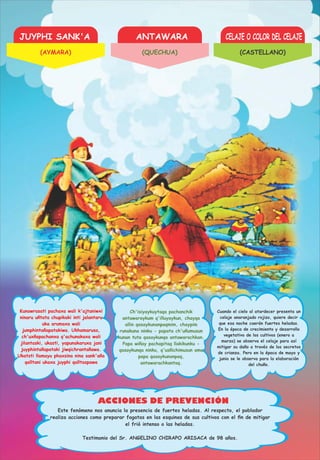 JUYPHI SANK'A ANTAWARA CELAJE O COLOR DEL CELAJE
ACCIONES DE PREVENCIÓN
Kunawrasati pachaxa wali k'ajtaniwxi
ninaru uñtata chupikaki inti jalantaru
uka arumaxa wali
jumphintañapatakiwa. Ukhamarusa,
ch'uxñapachanxa q'achunakaxa wali
jilantaski, ukasti, yapunakaruxa jani
juyphintañapataki jiwqichrantañawa.
Ukatsti llamayu phaxsina nina sank'aña
qalltani ukaxa juyphi qalltaspawa
Ch'isiyaykuytaqa pachanchik
antawaraykum q'illuyaykun, chayqa
allin qasaykunanpaqmim, chaypim
runakuna ninku - papata ch'uñumusun
kunan tuta qasaykunqa antawarachkan.
Papa wiñay pachapitaq llakikunku -
qasaykunqa ninku, q'usñichimusun ama
papa qasaykunanpaq,
antawarachkantaq.
Cuando el cielo al atardecer presenta un
celaje anaranjado rojizo, quiere decir
que esa noche caerán fuertes heladas.
En la época de crecimiento y desarrollo
vegetativo de los cultivos (enero a
marzo) se observa el celaje para así
mitigar su daño a través de los secretos
de crianza. Pero en la época de mayo y
junio se le observa para la elaboración
del chuño.
Este fenómeno nos anuncia la presencia de fuertes heladas. Al respecto, el poblador
realiza acciones como preparar fogatas en las esquinas de sus cultivos con el ﬁn de mitigar
el frió intenso o las heladas.
Testimonio del Sr. ANGELINO CHIRAPO ARISACA de 98 años.
(AYMARA) (QUECHUA) (CASTELLANO)
 