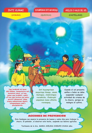 INTI KURMI KUYUMPRIWAN INTI MUYURISQA ANILLOS O HALOS DEL SOL
ACCIONES DE PREVENCIÓN
Yapu lurañataki inti kurmi
uñch'ukiñawa, kunapachatixa wali
kurmintata ukaxa, urt'awa,
janiwa yapu lurañakiti, walkiti
urt'ana yapu lurataxa jani waliru
purxiriti ukhamarusa, kikipa
uraqisa nakhantatawa uñjasiri,
achuqanakapasa jank'a
qhachqhakiriwa.
Inti kuyumpriwan
muyurisqa hinaqa, amam
imatapas, chakratapas
rurankichu. Chakrayki
unqunman mana allinchu
ruranapaq.
Cuando el sol presenta
anillos o halos se debe
suspender cualquier
actividad de crianza de
la chacra, porque se
malogra el cultivo.
Testimonio de la Sra. MARIA AVELINA CHIRAPO CHANA años.
Este fenómeno nos anuncia la presencia de buenos y amlos días para trabajar la
chacra. El poblador, al observar este hecho, suspende sus labores agrícolas.
(AYMARA) (QUECHUA) (CASTELLANO)
 