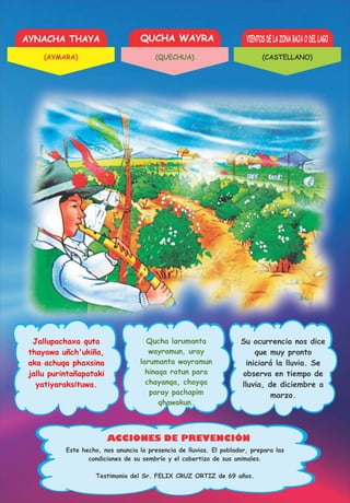 AYNACHA THAYA QUCHA WAYRA VIENTOS DE LA ZONA BAJA O DEL LAGO
ACCIONES DE PREVENCIÓN
Jallupachaxa quta
thayawa uñch'ukiña,
aka achuqa phaxsina
jallu purintañapataki
yatiyaraksituwa.
Qucha larumanta
wayramun, uray
larumanta wayramun
hinaqa ratun para
chayanqa, chayqa
paray pachapim
qhawakun.
Su ocurrencia nos dice
que muy pronto
iniciará la lluvia. Se
observa en tiempo de
lluvia, de diciembre a
marzo.
Testimonio del Sr. FELIX CRUZ ORTIZ de 69 años.
Este hecho, nos anuncia la presencia de lluvias. El poblador, prepara las
condiciones de su sembrío y el cobertizo de sus animales.
(AYMARA) (QUECHUA) (CASTELLANO)
 