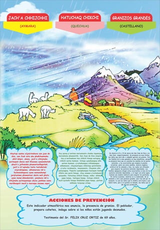 JACH'A CHHIJCHHI HATUCHAQ CHIKCHI GRANIZOS GRANDES
ACCIONES DE PREVENCIÓN
Alaytuqi sunina utjasirinakaxa san juan de
dios, san José sata uka phuñchawinaka
uñch'ukipxi, ukana, jach'a chhijinaka
purinuqani ukaxa wali khusawa uywanakataki
qhach'u jathanaka phawantasiñapataki,
jach'a ch'uqinaka tunta tuntañataki
utjarakispawa, ukhamarusa isk'a
lluxmanakapaxa uywa wanunakampi
jarqtasinwa phawantasi ukata wali phatu
uywa manq'añanakataki; janukaxa isk'a
chhijinaka purinuqanispa ukaxa janikiwa suma
maräkaspati mach'a maraspa sasawa sapxi.
Kay pusaq p'unchaw marsumanta chunka isqunniyuq
marsukama qhawanchik, San Juan de Dios nisqata,
kay p'unchawkuna kan chikchi hinaqa watapaq
chikchi watas kanman. Ichaqa uywakunapaq allin
watam kanman; q'achukunapas ichhukunapas
wiñanmansi, chaymantapas chikchiqa qatatinmim
q'achu rurukunata, imaymanata. Chaymim allin
uywayuqpaq. Paqucha uywaqkunapas kusisqam kanku.
Allinta unu purin hinaqa, chay unuwan q'achukunata
qarpanku. Hatuchaq chikchi hinaqa, ninku: allinmim
papa kanqa, tuntapas kanqa. Ichaqa chikchi
huch'uychalla hinaqa khullullam papa kanqa, pisitam
mikhuna tarpusqa urinqa.
Se observa el 8 y 19 de marzo (en San Juan de Dios y en
San José, respectivamente). Su presencia en esas fechas
nos indica que será año o campaña agrícola con granizo. Para
las familias de la zona ganadera es muy beneﬁcioso, porque
su presencia hace que se cosechen las semillas de los pastos
naturales, y las escorrentías que originan el granizo
arrastran, junto con estas semillas, materia orgánica,
estiércol de los animales y limo, los cuales son utilizados
para mejorar las pasturas naturales depredadas. Las
familias alpaqueras dirigen estas escorrentías al área de las
pasturas naturales depredadas, y al regar con estas aguas
realizan una siembra indirecta para mejorar los pastizales.
En ciertas ocasiones, mientras se va sembrando, de un
momento a otro caen granizos grandes, pero tan solo por un
momento, lo cual nos indica que la siembra será buena y que
habrá tunta, pero si el granizo es menudo, nos indica que es
año de poca producción.
Testimonio del Sr. FELIX CRUZ ORTIZ de 69 años.
Este indicador atmosférico nos anuncia, la presencia de granizo. El poblador,
prepara cohetes, indaga sobre si los niños están jugando desnudos.
(AYMARA) (QUECHUA) (CASTELLANO)
 