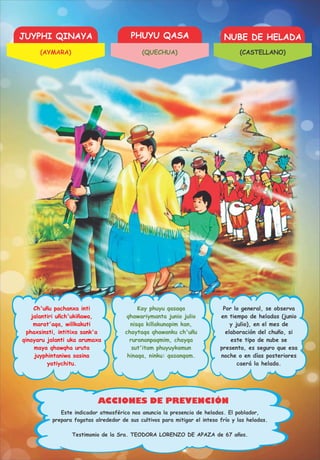 JUYPHI QINAYA PHUYU QASA NUBE DE HELADA
ACCIONES DE PREVENCIÓN
Ch'uñu pachanxa inti
jalantiri uñch'ukiñawa,
marat'aqa, willkakuti
phaxsinsti, intitixa sank'a
qinayaru jalanti uka arumaxa
maya qhawqha uruta
juyphintaniwa sasina
yatiychitu.
Kay phuyu qasaqa
qhawariymanta junio julio
nisqa killakunapim kan,
chaytaqa qhawanku ch'uñu
rurananpaqmim, chayqa
sut'itam phuyuykamun
hinaqa, ninku: qasanqam.
Por lo general, se observa
en tiempo de heladas (junio
y julio), en el mes de
elaboración del chuño, si
este tipo de nube se
presenta, es seguro que esa
noche o en días posteriores
caerá la helada.
Testimonio de la Sra. TEODORA LORENZO DE APAZA de 67 años.
Este indicador atmosférico nos anuncia la presencia de heladas. El poblador,
prepara fogatas alrededor de sus cultivos para mitigar el inteso frío y las heladas.
(AYMARA) (QUECHUA) (CASTELLANO)
 