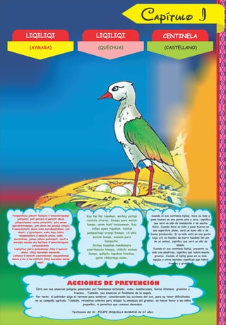 Capítulo I
LIQILIQI
(AYMARA)
LIQILIQI
(QUECHUA)
CENTINELA
Testimonio del Sr. FELIPE INQUILLA MAMANI de 67 años.
Esta ave nos anuncian peligros generados por fenómenos naturales, como: inundaciones, lluvias intensas, granizos y
truenos. También, nos anuncian el fenómeno de la sequía.
Por tanto, el poblador elige el terreno para sembrar, considerando las acciones del ave, para no tener diﬁcultades
en su campaña agrícola. También, revientan cohetes para disipar la amenaza del granizo, no hacen llorar a los niños
pequeños, ni permiten que caminen desnudos.
(CASTELLANO)
Liqiliqitixa jisk'a qalanakampi chika k'awnachi
ukaxa, chhiji maraniwa sapxaraki.
Liqiliqixa k'awnachi yawrinakampi, awujanakampi
ukaxa q'ixu q'ixu chiktata chhiji maraniwa sasina
sapxi.
Pampanakana jakasiri liqiliqixa k'awnachatapampi
yatiyasiri; puti patxaru k'awnachi ukaxa
jallupachaniwa sasina yatiychitu, quta umasa
aparakchitaspawa, jani ukaxa ina janyäja chiqaru
k'awnachatachi ukaxa suma marañapatakiwa; jani
ukasti, p'ujruchiqaru, waka kayu takita
manqhanakaru k'awnachi ukaxa, waña
maratakiwa, janiwa jallusa purkaspati, mach'a
maraspa sasawa uka liqichuna k'awnachatapaxa
yatiyarakchitu.
Kay liqi liqi tapakun, wichay patapi
runtuta churan, hinaqa para watan
kanqa, unum hunt'awasunwan. Kay
sallqa uywa tapakun, runtun
pampachapi uraypi hinaqa, ch'akiy
watam kanqa, manam para
kanqachu.
Sichus tapakun rumikunata
yawrikunata hinaqa, chikchi watam
kanqa, qullqita tapakun hinataq,
qurin rikhurinqa ninku.
Cuando el ave centinela liqiliqi, presenta su
nido con piedritas, signiﬁca que habrá mucho
granizo. Cuando el liqiliqi pone en su nido
agujas y otros metales signiﬁcan que habrá
truenos y granizos.
Cuando el ave centinela liqiliqi, hace su nido y
pone huevos en una parte alta y seca, signiﬁca
que será un año de inundación o de mucha
lluvia. Cuando hace su nido y pone huevos en
una superﬁcie plana, será un buen año y de
buena producción. Si su nido está en una parte
baja y/o en huellas de barro hundido del pie
de un animal, signiﬁca que será un año de
sequía.
ACCIONES DE PREVENCIÓN
 
