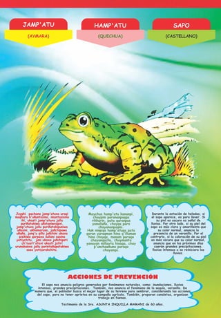 HAMP'ATU SAPOJAMP'ATU
ACCIONES DE PREVENCIÓN
Juyphi pachana jamp'atuxa uraqi
maqharu k'uñuntasina, imantasisina
iki, ukasti jamp'atuxa jallu
puriñatakiwa uñstaniwxapxi,
jamp'atuxa jallu puriñatakipuniwa
uñasini, ukhamarusa, jañchipawa
uñaña, janq'u qillu jañchini ukaxa
pisikiwa qarpaxa sullani sasina
yatiychitu, jani ukaxa jañchipati
ch'iyart'ataxi ukasti jutiri
urunakanxa jallu purintañapatakiwa
sasa yatiyarakchitu.
Maychus hamp'atu kananpi,
chaypim parananpaqqa
rikhurin, pata qaranpas
yanallaña, chayqa para
chayananpaqmi.
Huk ninpiqa hamp'atuqa pata
qaran yuraqman hina q'illuman
hina chayqa, manam paraqa
chayanqachu, chaymanta
yanayan millayta hinaqa, chay
p'unchawkuna paraqa
chayanqa.
Durante la estación de heladas, si
el sapo aparece, es para llover. Si
su piel es oscuro es señal de
lluvias. Por otro lado, si su piel del
sapo es más clara y amarillenta que
su color normal, anuncia la
presencia de un veranillo. Por el
contrario, si la coloración de su piel
es más oscura que su color normal,
anuncia que en los próximos días
caerán grandes precipitaciones,
lluvias intensas o se reiniciara las
lluvias.
El sapo nos anuncia peligros generados por fenómenos naturales, como: inundaciones, lluvias
intensas, grandes precipitaciones. También, nos anuncia el fenómeno de la sequía, veranillo. De
manera que, el poblador busca el mejor lugar de su terreno para sembrar, considerando las acciones
del sapo, para no tener aprietos en su campaña agrícola. También, preparan canaletas, organizan
trabajo en faenas.
Testimonio de la Sra. ASUNTA INQUILLA MAMANI de 60 años.
(AYMARA) (QUECHUA) (CASTELLANO)
 