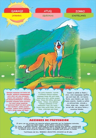 QAMAQI ATUQ ZORRO
ACCIONES DE PREVENCIÓN
Testitimonio del Sra. REMIGIA ARUCUTIPA AYCACHI de 65 años
Por tanto, el poblador previene sembrando en lugares óptimas para sembrar, considerando
las acciones del zorro, para no tener problemas en su campaña agrícola. Los terrenos para
la siembra serán en partes húmedas y lugares abrigados para prevenir la helada.
El zorro con sus acciones nos anuncian peligros generados por los fenómenos naturales,
indica que habrá sequia, pocas lluvias y excesivas heladas.
Qamaqina waqaqitapa isch'ukisina wali
amuyaña, qamaqitixa waqaqaqaqaqaqa
jischi ukasti wali suma maraspawa,
qarpasa suma qarpaspaxa, juyphisa
juk'akispawa/pisillakispawa, achunakasa
walirakiwa achuqaspa sasina yatiychitu.
Jani ukasti qamaqi waqaqitapa
ch'ajantatachi (khakt'chi) ukasti janiwa
suma maräkaniti, pisikiwa qarpasa
qarpaspani, juyphisa sintiwa juyphispaxa,
mach'a marani sasawa isch'ukipxi.
Kay pacha atuqmanta. Uyarinki
q'achimanta munayta waqanqa,
waqqaqaqa hinaqa allin wata kanqa,
munay paray wata, pisillam qasapas
kanqa, hinaqa allin mikhuy uqhariypas
kanqa. Ichaqa, atuq sipikunqa,
kunkanpi chakakunqa ch'aha
kunkamanta “waqa…qaq…waqaq…”
Chayqa chaku watam kanqa, pisi para
kanqa, achkataqmi qasa kanqa.
Cuando su aullido es ﬂuido y
clara, como waqaqaqaqa signiﬁca
que será buen año, con buenas
lluvias, poca helada y por tanto
buena cosecha. Cuando su aullido
es entrecortado, atorado y
ronco, waqa…qaq…..waqaq…será
un mal año, con pocas lluvias y
excesivas heladas.
(AYMARA) (QUECHUA) (CASTELLANO)
 