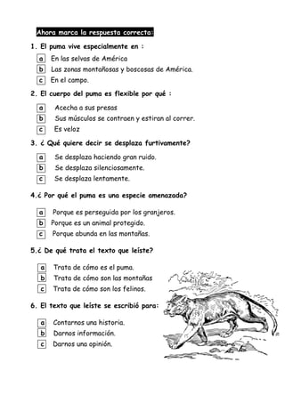 Ahora marca la respuesta correcta:
1. El puma vive especialmente en :
a En las selvas de América
b Las zonas montañosas y boscosas de América.
c En el campo.
2. El cuerpo del puma es flexible por qué :
a Acecha a sus presas
b Sus músculos se contraen y estiran al correr.
c Es veloz
3. ¿ Qué quiere decir se desplaza furtivamente?
a Se desplaza haciendo gran ruido.
b Se desplaza silenciosamente.
c Se desplaza lentamente.
4.¿ Por qué el puma es una especie amenazada?
a Porque es perseguida por los granjeros.
b Porque es un animal protegido.
c Porque abunda en las montañas.
5.¿ De qué trata el texto que leíste?
a Trata de cómo es el puma.
b Trata de cómo son las montañas
c Trata de cómo son los felinos.
6. El texto que leíste se escribió para:
a Contarnos una historia.
b Darnos información.
c Darnos una opinión.
 